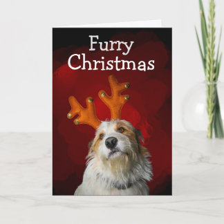 Carte De Remerciements Joyeux Noël de la part du chien Card