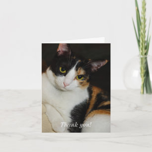 Carte De Remerciements Juste en train de se pendre