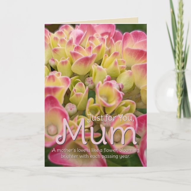 Carte De Remerciements Juste pour vous, Mum Hydrangea flower Card (Devant)