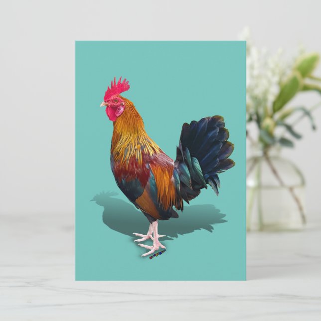 Carte De Remerciements Key West - Rooster tzigane (Debout devant)