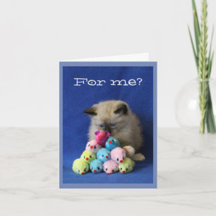 Carte De Remerciements Kitten Cross-Eyed avec Toy Mice