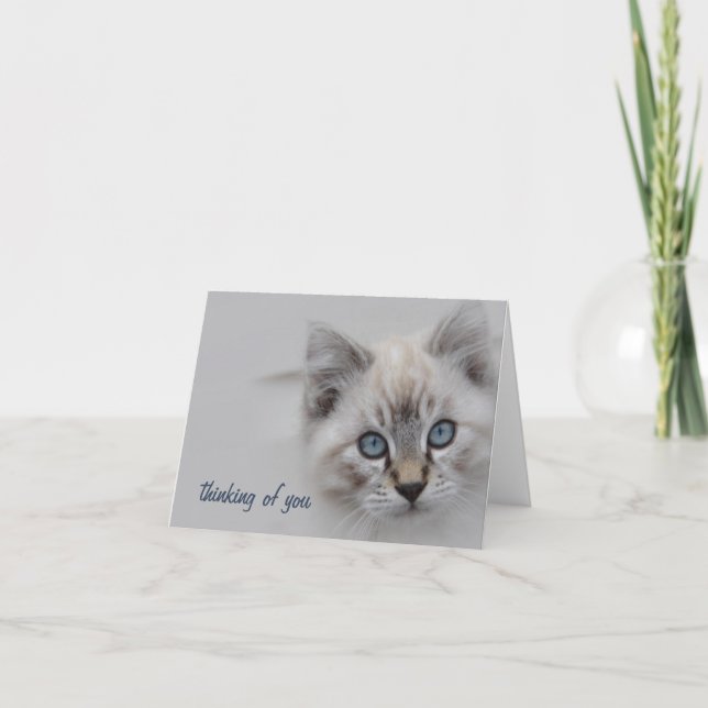 Carte De Remerciements Kitten Thinking of You Card - Personnalisable (Devant)