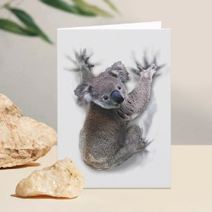 Carte De Remerciements Koala Hang Sur Le Dos Cute Ours Australie Animal