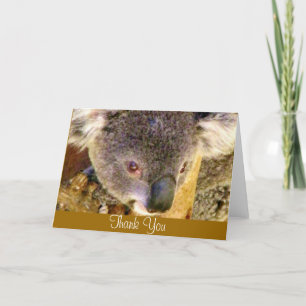 Carte De Remerciements Koala Love_