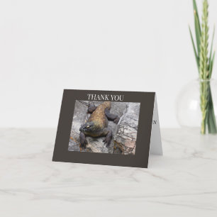 Carte De Remerciements Komodo Dragon Rocky 