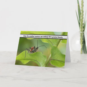 Carte De Remerciements "L’équilibre délicat de la nature - Insecte sur la
