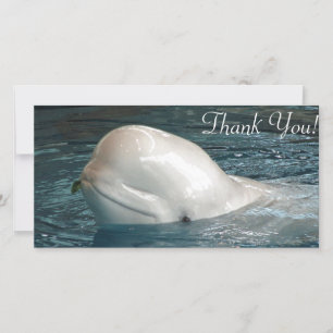 Carte De Remerciements La baleine mignonne de beluga colle le visage hors