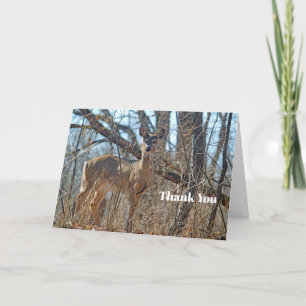 Carte De Remerciements La faune Deer Woods
