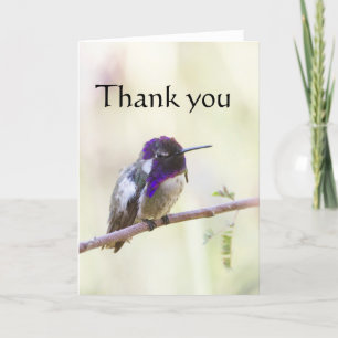 Carte De Remerciements Le colibri costarin perché sur une branche