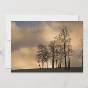 Carte De Remerciements Le lever du soleil sur les nuages et les arbres