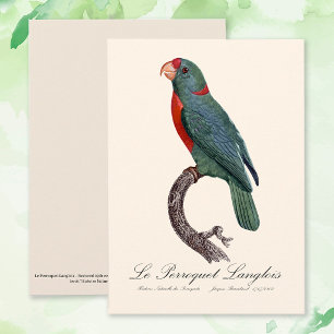 Carte De Remerciements Le Perroquet Langlois de Jacques Barraband