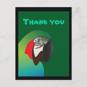 Carte De Remerciements le perroquet remercient yous