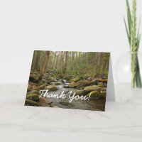 LeConte Creek dans les Great Smoky Mountains