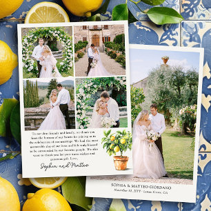 Carte De Remerciements Lemon Grove 5 Photo Mariage