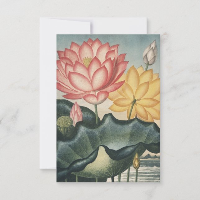 Carte De Remerciements Les Beaux-Arts Lotus (Devant)