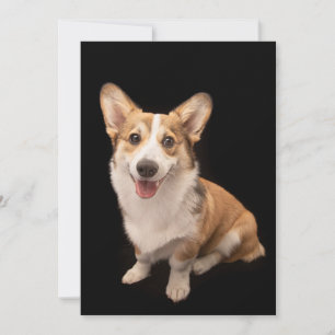 Carte De Remerciements Les bébés animaux les plus mignons Sourire de ch