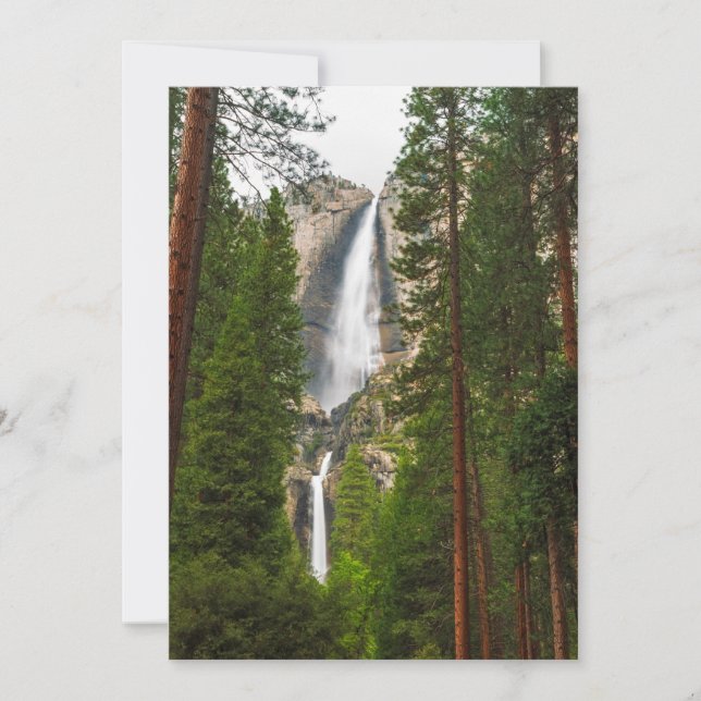 Carte De Remerciements Les chutes de Yosemite dans la forêt (Devant)
