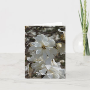 Carte De Remerciements Les fleurs de Star Magnolia