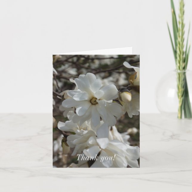 Carte De Remerciements Les fleurs de Star Magnolia (Devant)
