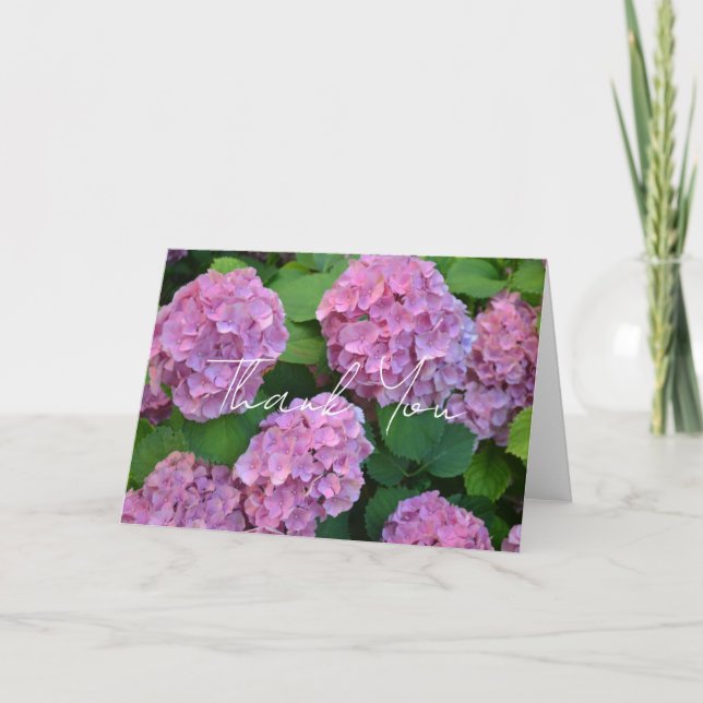 Carte De Remerciements Les fleurs d'hortensia hydrangea roses (Devant)