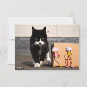 Carte De Remerciements Les Fubby se cachent pour le chat Ping.