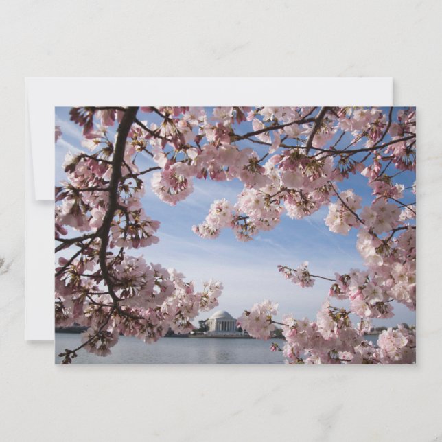 Carte De Remerciements Les monuments | Jefferson Memorial Cherry Blossoms (Devant)