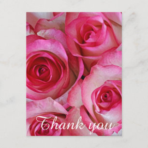 Carte De Remerciements Les roses roses vous remercient