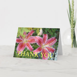 Carte De Remerciements Lis Stargazer Jardin Floral