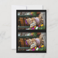 Livres d'art de vente Ginger Kitty