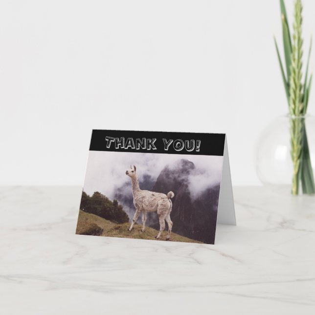 Carte De Remerciements Llama Machi Picchu Pérou (Devant)