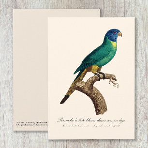 Carte De Remerciements Loriquet arc-en-ciel juvénile Trichoglossus molucc