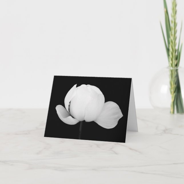 Carte De Remerciements Lotus Bud (Devant)