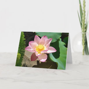 Carte De Remerciements Lotus Card