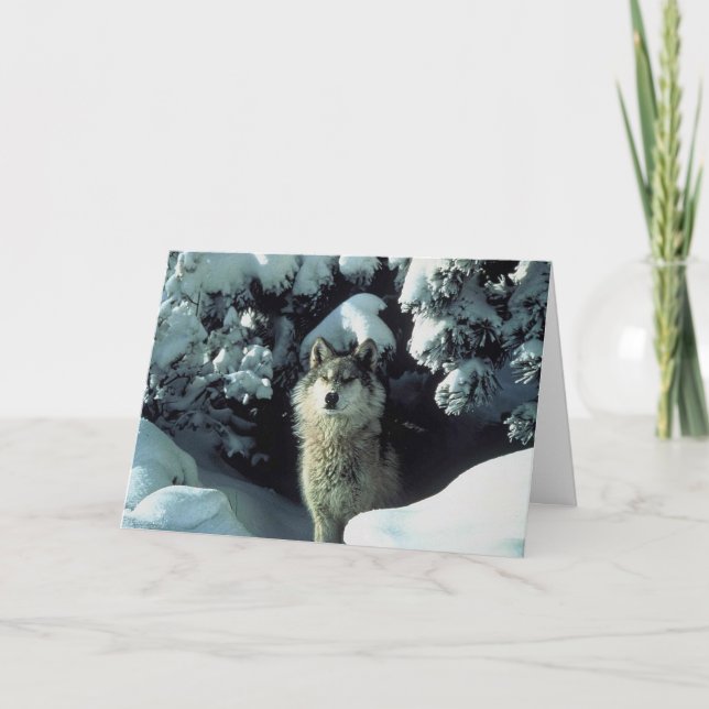 Carte De Remerciements Loup dans la neige (Devant)