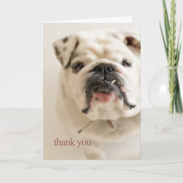 Carte De Remerciements Loyal White Bulldog Thank You (Devant)