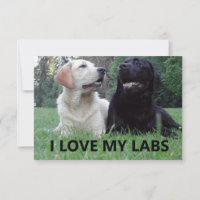 LR I Love My Labs avec photo