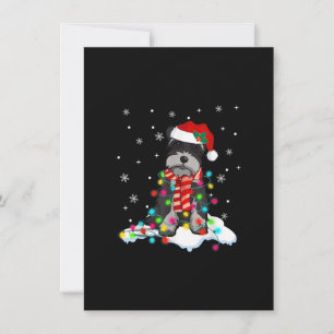 Carte De Remerciements lumières schnautiques de Noël mignonnes avec chape