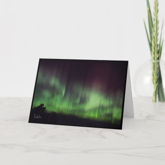 Carte De Remerciements Luminaires de danse sur des arbres tranquilles Car (Devant)