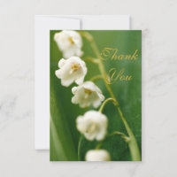 Lys blanc du muguet (Convallaria majalis) 