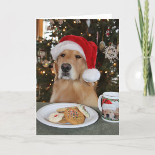 Carte De Remerciements Maddi en attente sur Père Noël