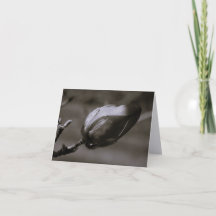 Magnolia Bud Noir & Blanc Minimaliste Art Fin Non