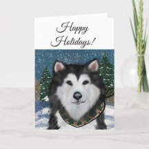 Malamute d'Alaska