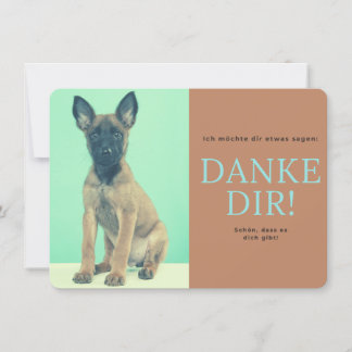 Carte De Remerciements Malinois