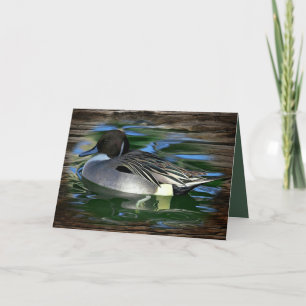 Carte De Remerciements Mallard Duck
