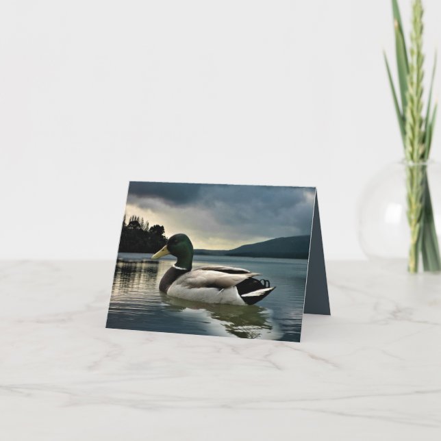 Carte De Remerciements Mallard Duck (Devant)