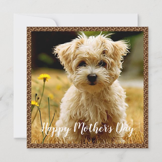 Carte De Remerciements Maltese Chiot Happy Mother's Day Card (Devant)