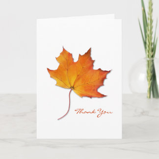 Carte de remerciements Maple Leaf