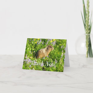 Carte De Remerciements Marmotte dans les fleurs sauvages du mont Rainier