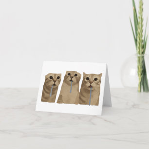 Carte De Remerciements Mème des triples chats idiots baveux