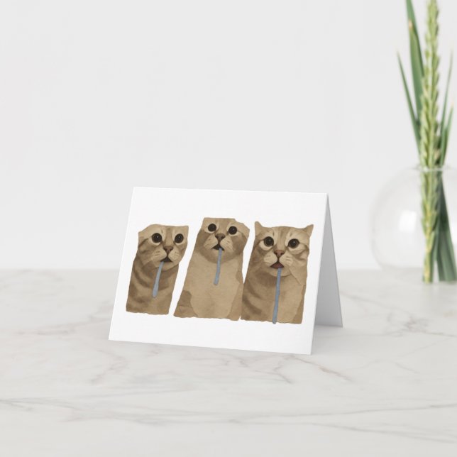 Carte De Remerciements Mème des triples chats idiots baveux (Devant)